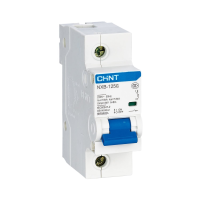 Автоматический выключатель CHINT NXB-125, 1P, 125 A, 10 кА, C